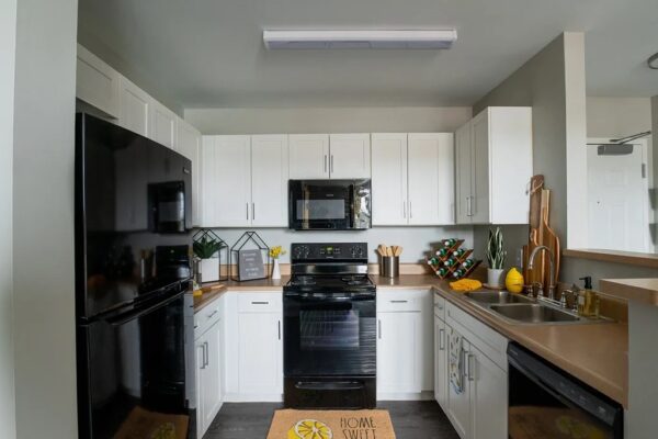 p1741637_photogallery_spinner place model unit-25